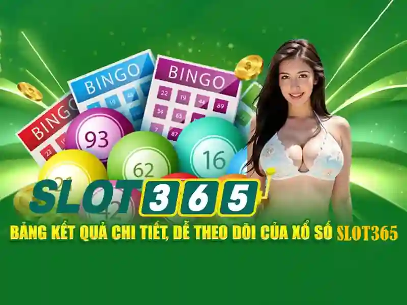 Giao diện và trải nghiệm người dùng