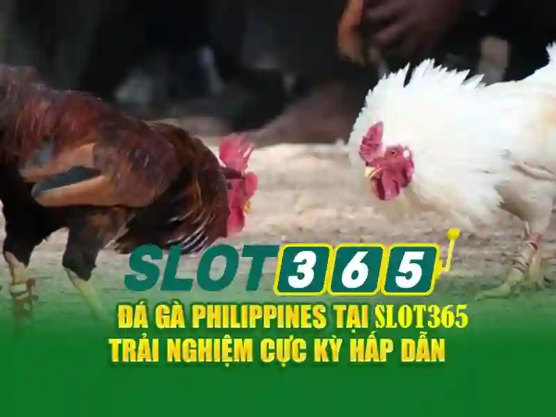 slot365 link alternatif – Đường dẫn an toàn và tiện ích