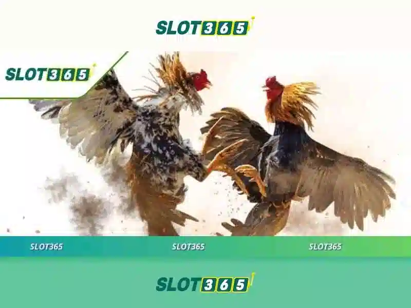 An toàn và bảo mật khi chơi