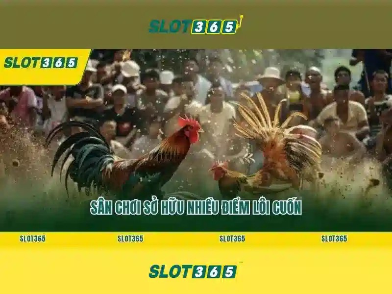 Sản phẩm và dịch vụ chính: ứng dụng thực tế của đăng nhập slot365