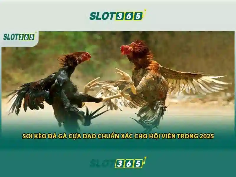 An toàn và trách nhiệm