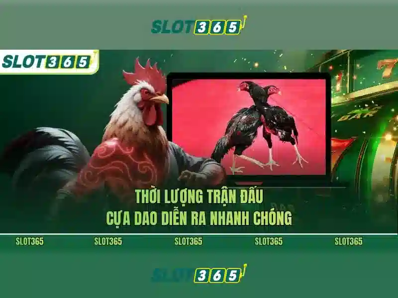 Các tính năng nổi bật