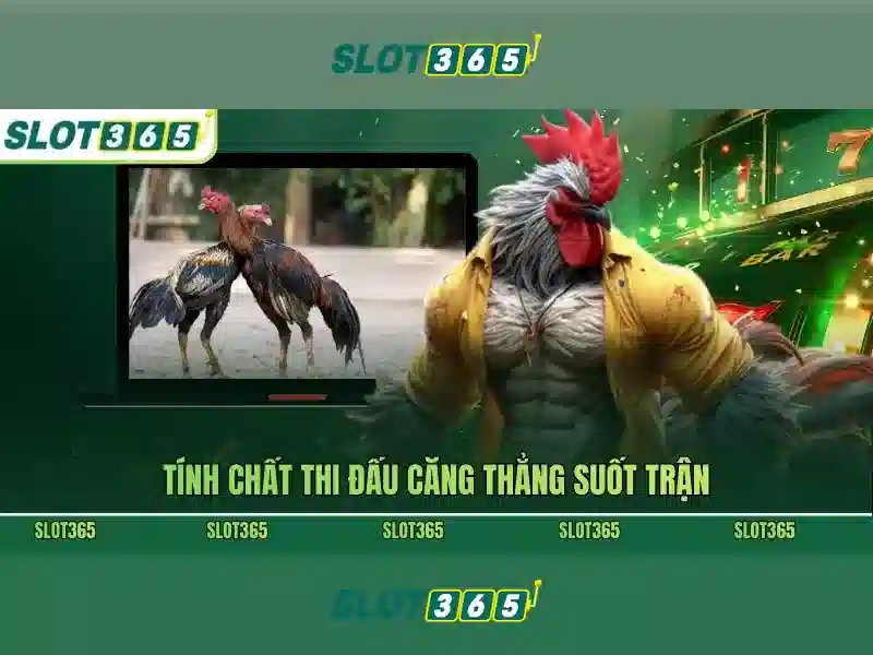 Trải nghiệm người dùng và bảo mật