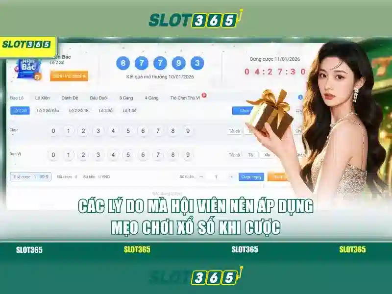 Giao diện người dùng và trải nghiệm di động<p><span style=