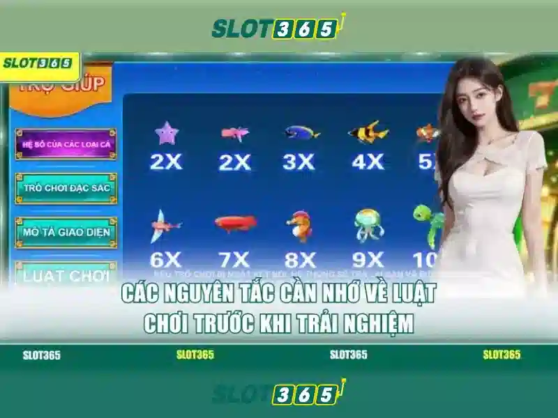 Trải nghiệm người dùng và giao diện