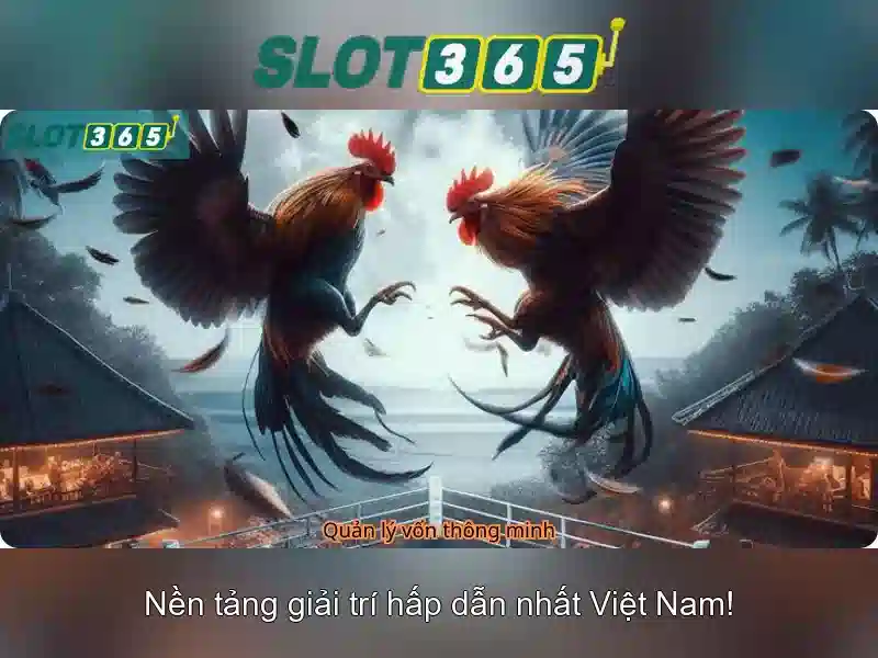 Trải nghiệm Slot365 an toàn và công bằng