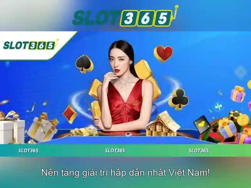 Cài đặt và trải nghiệm người dùng