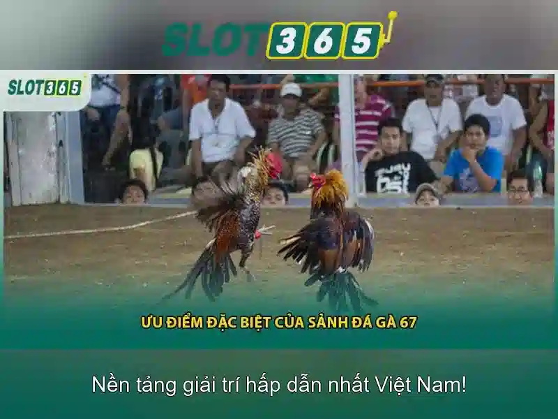 Tính năng và trò chơi nổi bật\n<h>Khuyến mãi và an toàn khi chơi</h>\n<p><span style=