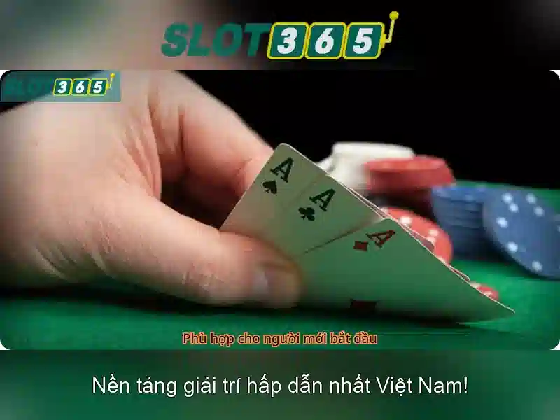 Trải nghiệm di động và hỗ trợ khách hàng