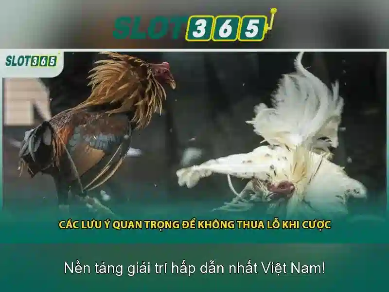 asia slot365 – Tổng quan chủ đề và giá trị cốt lõi\n<p><span style=