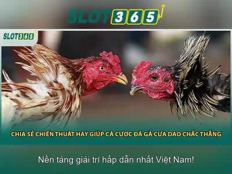 Tien ich cua Slot365