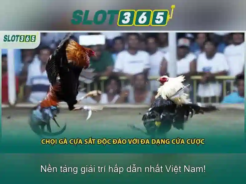 Slot365 - Nền tảng trò chơi slots trực tuyến