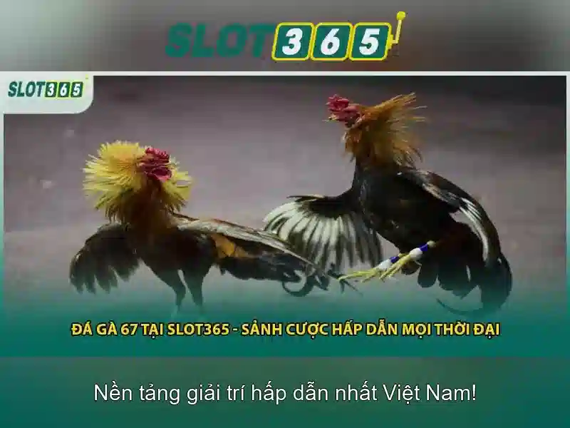 Khuyến mãi và cách đăng ký