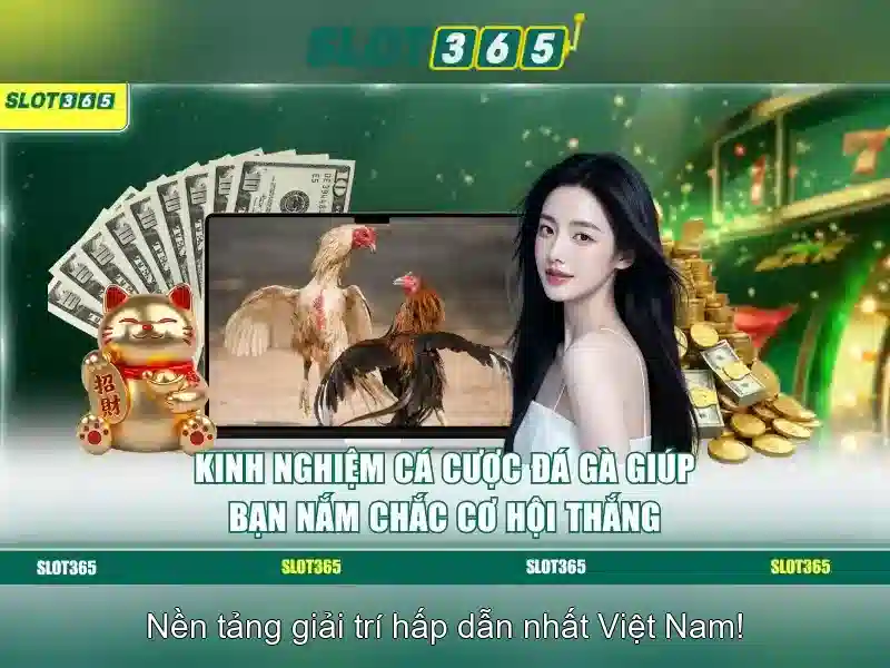 Slot365 app – Tóm tắt chủ đề và giá trị cốt lõi