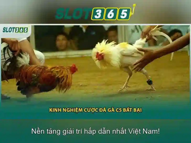 Slot365 là gì và tại sao nên chọn nền tảng này