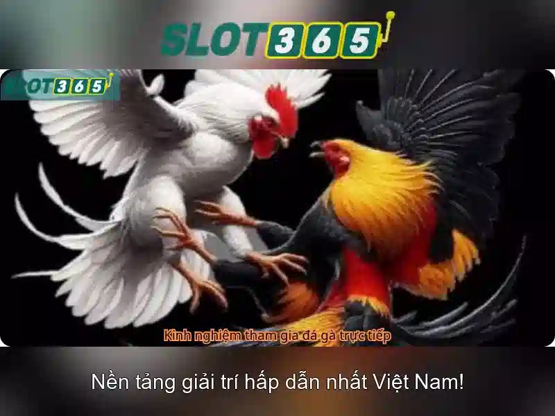 Khuyến mãi và chương trình thưởng