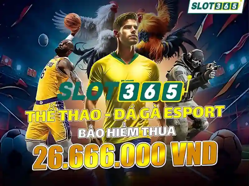 app slot365 – Giới thiệu và tầm nhìn