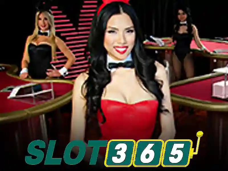 Tong quan ve quyen va nghia vu nguoi choi tai slot365